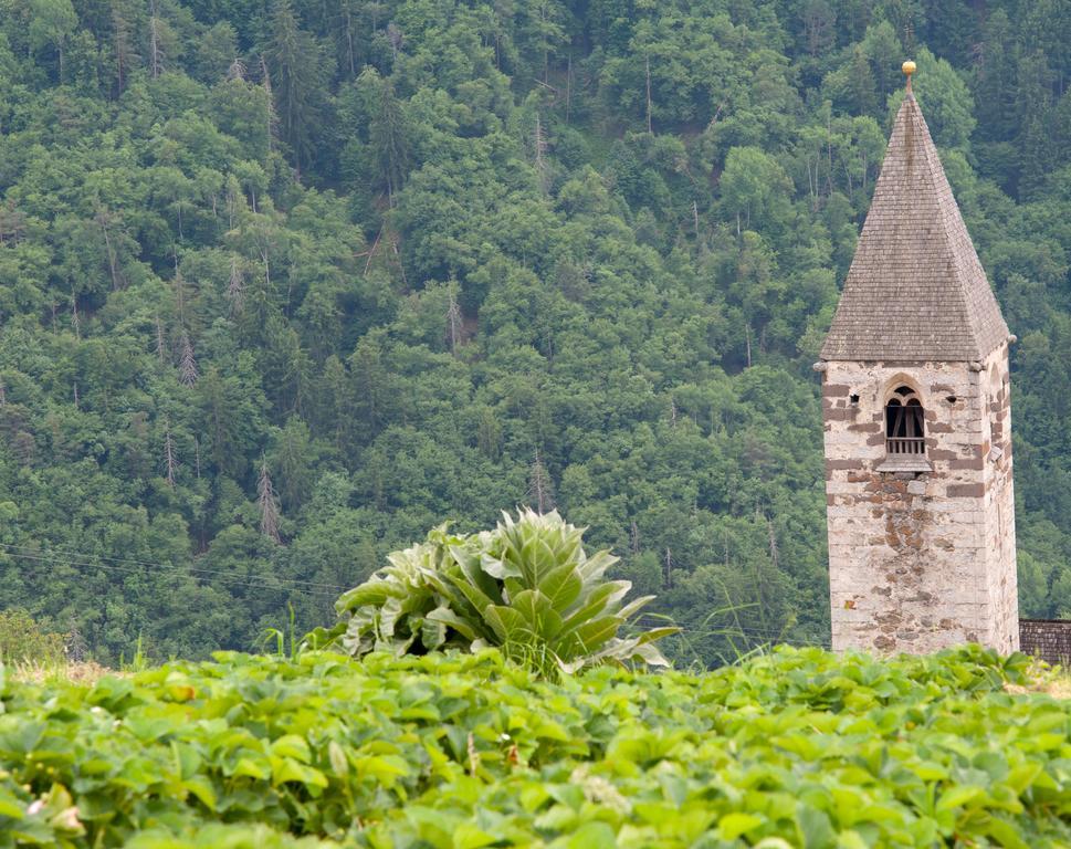 Ausservogelweiderhof ライオーン エクステリア 写真